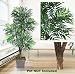 One 6' Phoenix Palm Artificial Tree with 5 Heads, with No Pot,