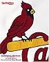 Cardinal Nation : A Collection of The Greatest Players, Teams, and Moments in Cardinal History Cardinal Nation : A Collection of The Greatest Players, Teams, and Moments in Cardinal History