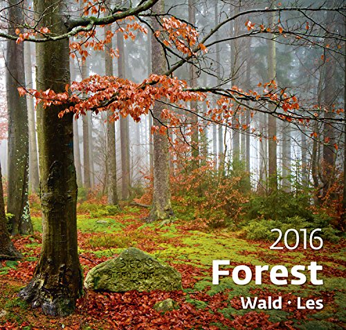 Forest Wall Calendar 2016 - Tree Calendar - Poster Calendar - Nature Photography Calendar By Helma
