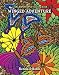 Winged Adventure: a KALEIDOSCOPIA coloring book by Kendall Bohn