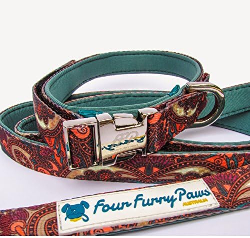 FFP Shelton Premium Matching Dog Collar and Leash Set. Neoprene Lined, Paisley Print, Nickel Plated Buckle. (Small 5/8 inch wide, Paisley Aqua)