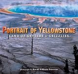 Portrait of Yellowstone
