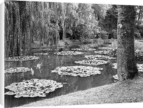 Canvas Prints of Giverny from Country Life 