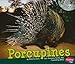 Porcupines (Pebble Plus: Nocturnal Animals)