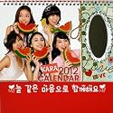 2012年 KARA (カラ) 卓上カレンダー (日本祝日仕様) 【鏡シール付】
