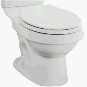 Buy Karsten Elongated Bowl (Sterling Vikrell Toilets, Plumbing, Toilets & Bidets, Toilets)