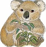 Cover of Pocket Koala by M. Twinn 0859539172