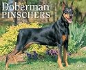 Just Dobermans Pinschers 2007 Calendar