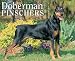Just Dobermans Pinschers 2007 Calendar