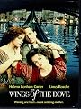play video on Amazon Instant Video