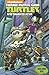 Teenage Mutant Ninja Turtles: New Animated Adventures Volume 6 (TMNT New Animated Adventures)