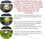 The Guru's Earn More Money, Marketing and Inner Game for Color Laser Printers On-line Businesses 3 CD Power Pack