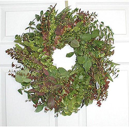 17 in. Blush Eucalyptus Wreath