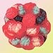 Gummy Brains