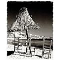 Umbrella Gallery Wrapped Canvas - 16x20"