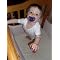 All Natural Must haves for baby