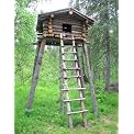 Treehouse in the Forest