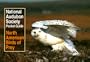 National Audubon Society Pocket Guide to North American Birds of Prey (National Audubon Society Pocket Guides)