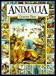 Animalia Midi