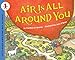 Books : Air Is All Around You (Let's-Read-and-Find-Out Science 1)