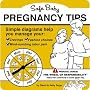 Safe Baby Pregnancy Tips: Simple Diagrams Help You Manage Your - Cravings, Fashion Choices, Mind-numbing Labor Pain
