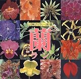 蘭 (山渓カラー名鑑) の評価・レビュー