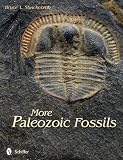 More Paleozoic Fossils