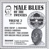 Review Various Artists  / Male Blues of the Twenties Vol.2 1923-1928