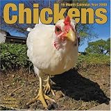 Chickens 2008 Wall Calendar