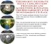 Book The Secret Generate Extra Cash, Success Principles and Accounting & Finance for Billiards On-line Businesses 3 CD Pack