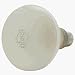 GE Indoor Miser(R) Floodlight, R40, 5in. Diameter, 120 Watts