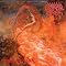 1991's landmark metal albums