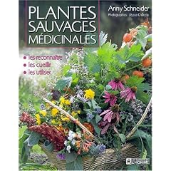 Plantes sauvages medicinales  les reconna�tre les cueillir les utiliser