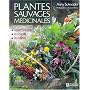 Plantes sauvages medicinales  les reconna�tre les cueillir les utiliser
