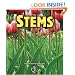 Stems (First Step Nonfiction)
