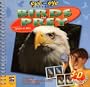Birds of Prey (Eye to Eye)