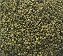 Green Peppercorns - finest quality
