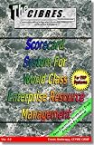 Scorecard System For World Class Enterprise Resource Management : For ERP Systems