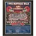 Buffalo Bills 1993 AFC Champions Healy Plaque