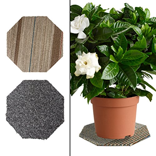 2 Plant Coasters 11" House Planter Flower Pot Waterproof Protect Floor