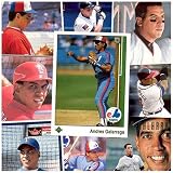 Various Brands Colorado Rockies Andres Galarraga 20 Trading Card Set