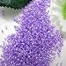 Miyuki delica seed beads 11/0 purple ceylon 8g