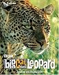 Leopard (Big Cat Diary)