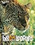 Big Cat Diary: Leopard
