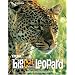 Big Cat Diary: Leopard (Big Cat Diary)