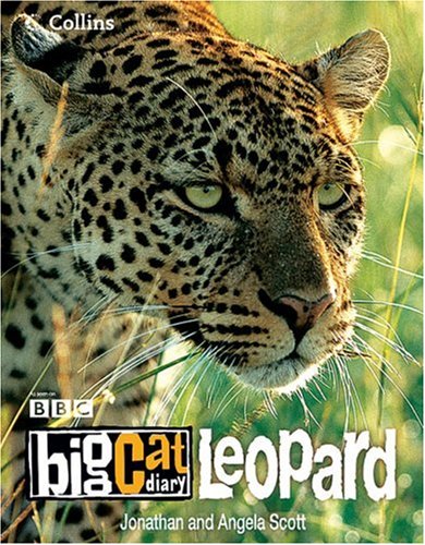 Big Cat Diary: Leopard