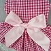 Fitwarm Casual Pink Plaid Ribbon Pet Clothes Dog Dress Lace Shirts Apparel, X-small