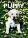 The Ultimate Puppy (Pets)