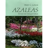 azaleas