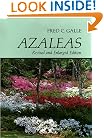Azaleas